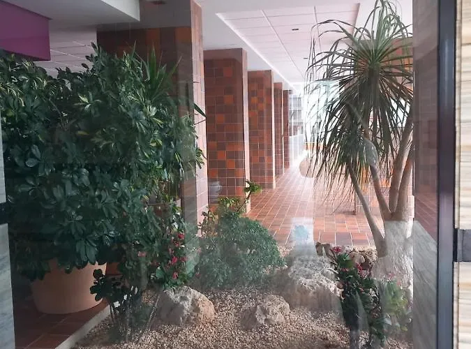 Colon - Plusholidays